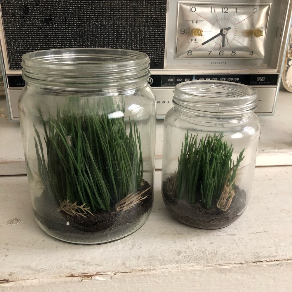 Glass Jar Terrarium with Green Grass-Magnolia Home
